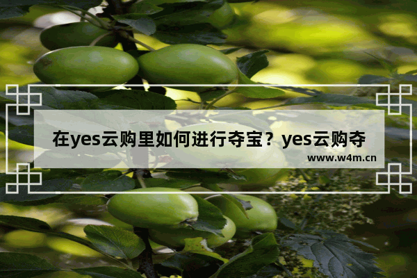 在yes云购里如何进行夺宝？yes云购夺宝方法介绍