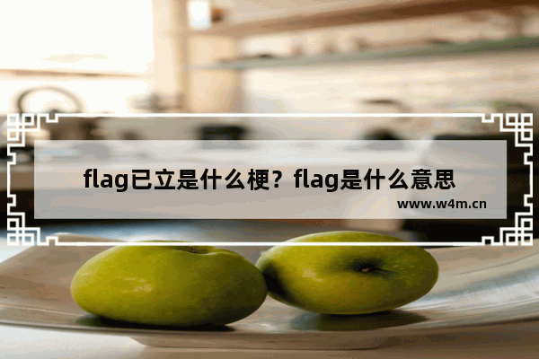 flag已立是什么梗？flag是什么意思？