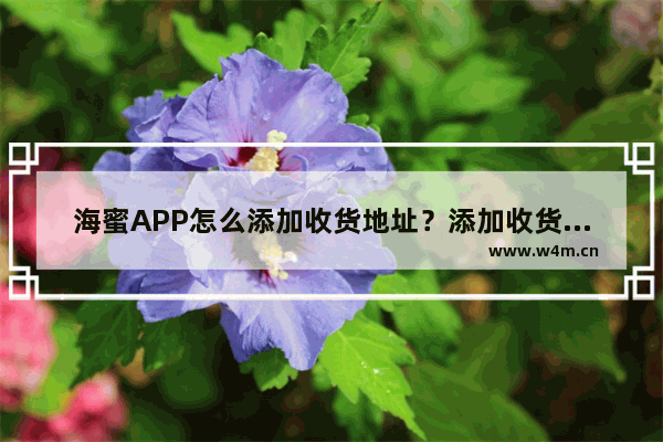 海蜜APP怎么添加收货地址？添加收货地址的操作步骤分享