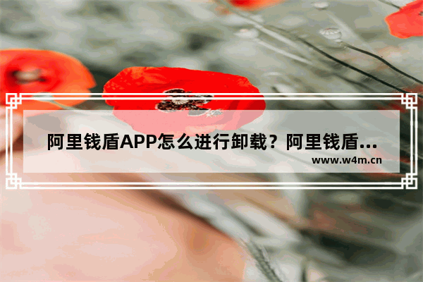 阿里钱盾APP怎么进行卸载？阿里钱盾卸载的操作流程一览