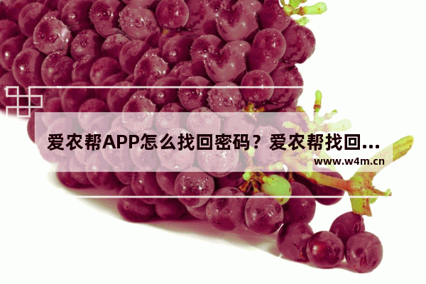 爱农帮APP怎么找回密码？爱农帮找回密码的操作步骤说明