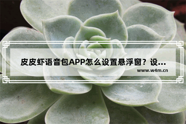 皮皮虾语音包APP怎么设置悬浮窗？设置悬浮窗的方法说明