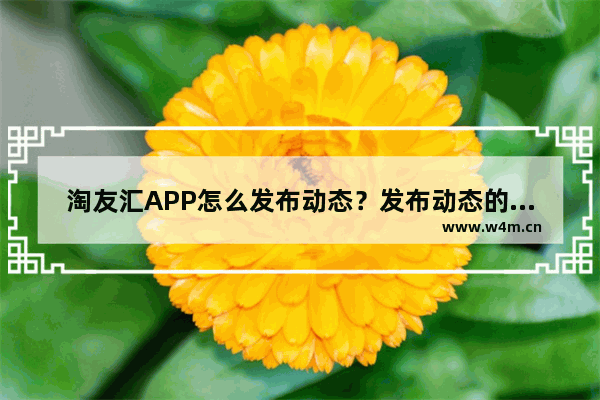 淘友汇APP怎么发布动态？发布动态的操作步骤分享