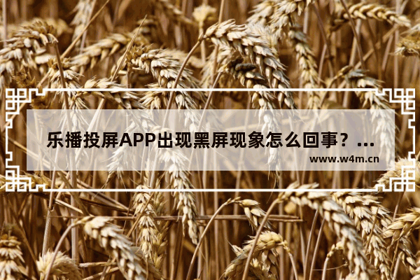 乐播投屏APP出现黑屏现象怎么回事？解决黑屏现象的方法讲解