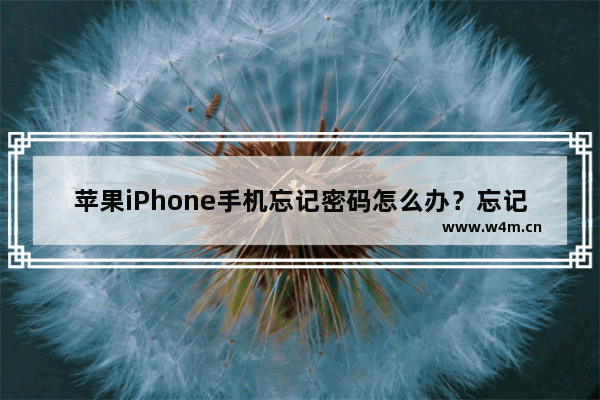 苹果iPhone手机忘记密码怎么办？忘记密码解决方法详解