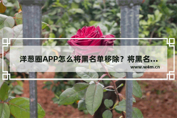 洋葱圈APP怎么将黑名单移除？将黑名单移除的方法讲解