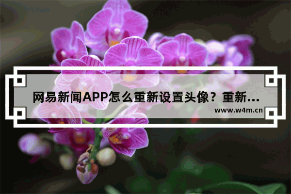 网易新闻APP怎么重新设置头像？重新设置头像的方法介绍