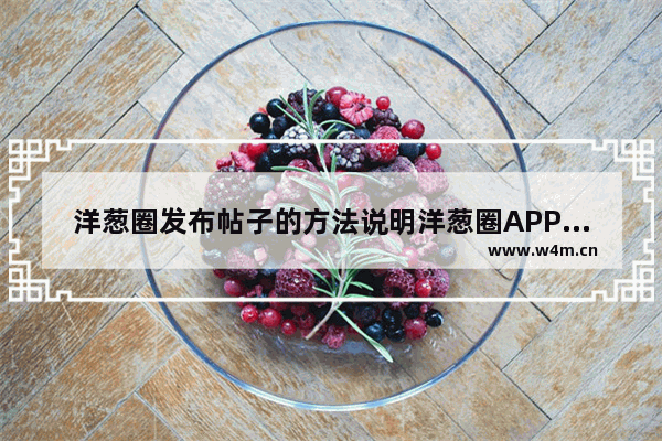 洋葱圈发布帖子的方法说明洋葱圈APP怎么发布帖子？