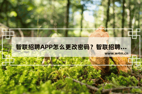 智联招聘APP怎么更改密码？智联招聘更改密码的方法介绍