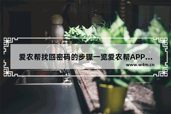 爱农帮找回密码的步骤一览爱农帮APP怎么找回密码？