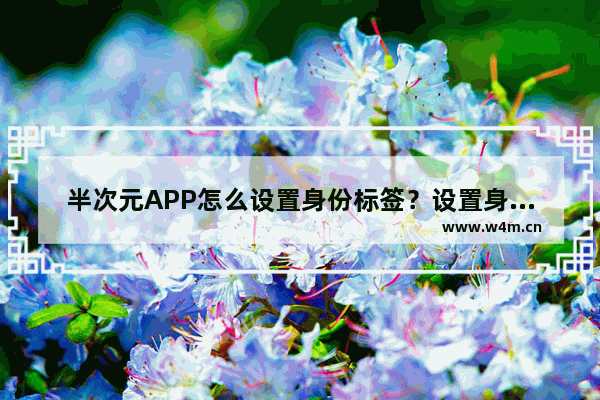 半次元APP怎么设置身份标签？设置身份标签的方法说明