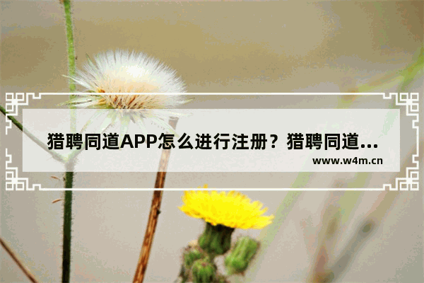 猎聘同道APP怎么进行注册？猎聘同道进行注册的方法说明