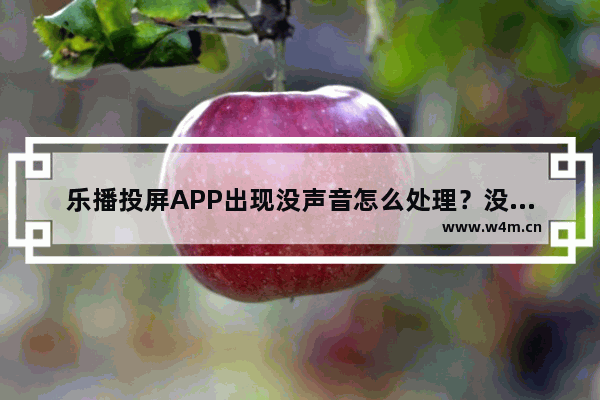 乐播投屏APP出现没声音怎么处理？没声音处理方法说明