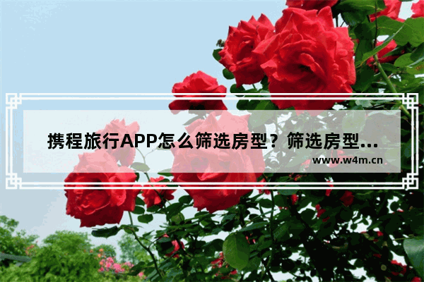 携程旅行APP怎么筛选房型？筛选房型的方法说明