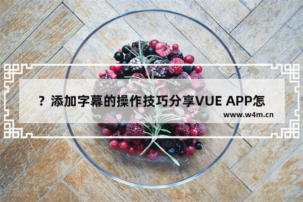 ？添加字幕的操作技巧分享VUE APP怎么添加字幕