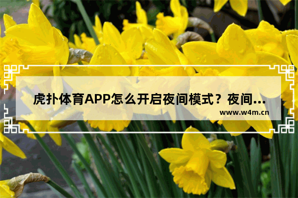 虎扑体育APP怎么开启夜间模式？夜间模式开启方法说明