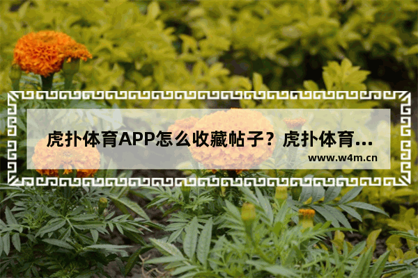 虎扑体育APP怎么收藏帖子？虎扑体育收藏帖子的方法讲解