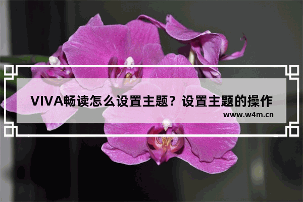 VIVA畅读怎么设置主题？设置主题的操作流程分享