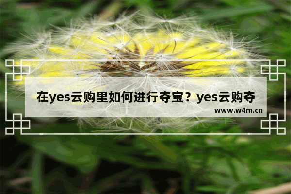 在yes云购里如何进行夺宝？yes云购夺宝的方法讲解