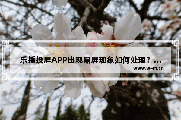 乐播投屏APP出现黑屏现象如何处理？解决出现黑屏现象的方法说明