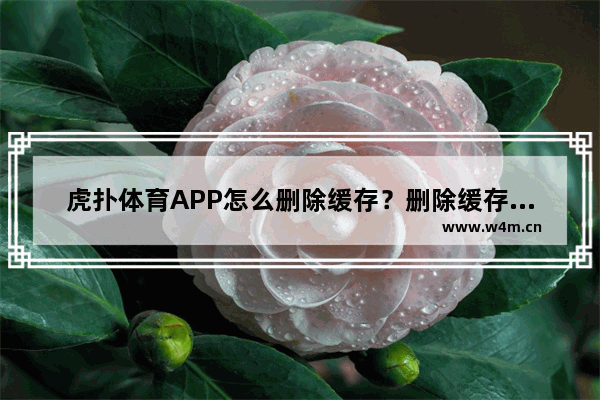 虎扑体育APP怎么删除缓存？删除缓存的方法说明