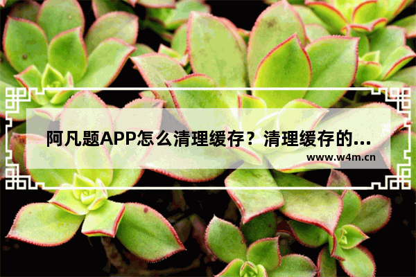 阿凡题APP怎么清理缓存？清理缓存的操作流程分享