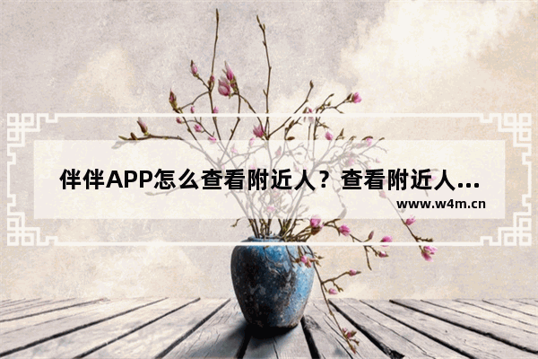 伴伴APP怎么查看附近人？查看附近人的方法说明