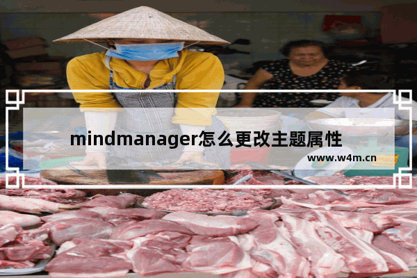 mindmanager怎么更改主题属性 更改主题属性方法简介