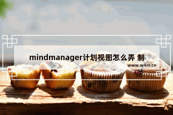 mindmanager计划视图怎么弄 制作计划视图方法分享