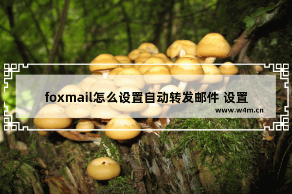 foxmail怎么设置自动转发邮件 设置自动转发邮件方法介绍