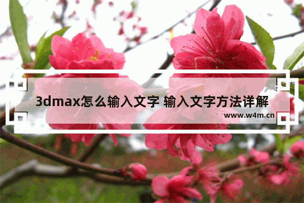 3dmax怎么输入文字 输入文字方法详解