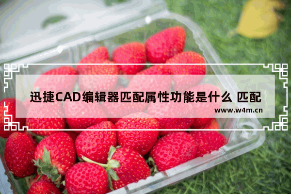 迅捷CAD编辑器匹配属性功能是什么 匹配属性功能介绍