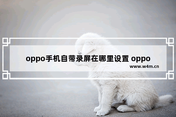 oppo手机自带录屏在哪里设置 oppo手机自带录屏设置方法详解