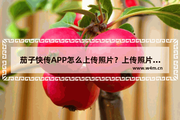 茄子快传APP怎么上传照片？上传照片的方法一览