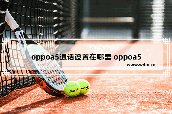 oppoa5通话设置在哪里 oppoa5通话设置方式一览