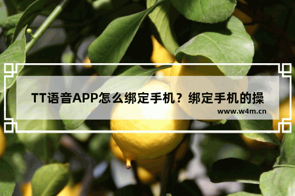 TT语音APP怎么绑定手机？绑定手机的操作步骤一览