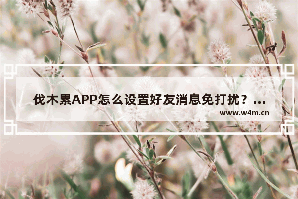 伐木累APP怎么设置好友消息免打扰？好友消息免打扰设置方法说明