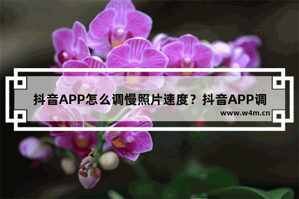 抖音APP怎么调慢照片速度？抖音APP调慢照片速度步骤详解