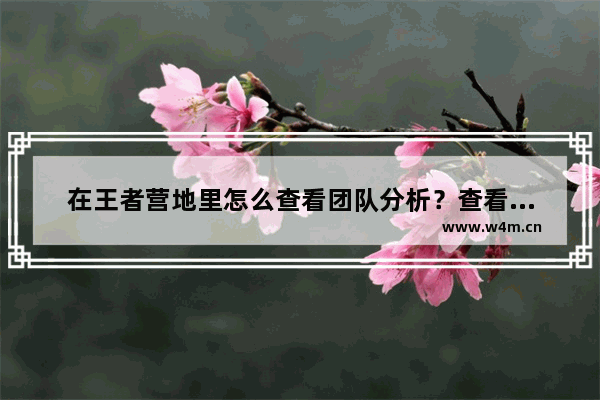 在王者营地里怎么查看团队分析？查看团队分析的方法说明