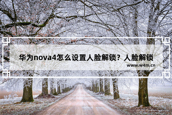 华为nova4怎么设置人脸解锁？人脸解锁设置方法说明