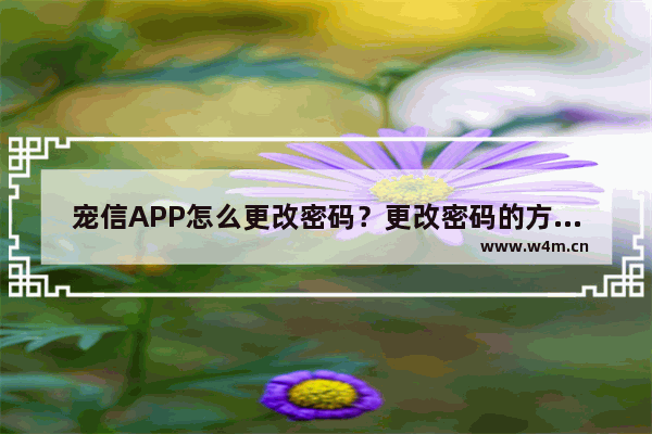 宠信APP怎么更改密码？更改密码的方法说明