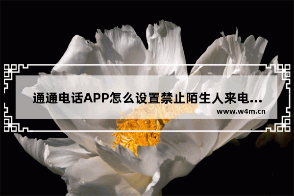 通通电话APP怎么设置禁止陌生人来电？设置禁止陌生人来电的方法讲解