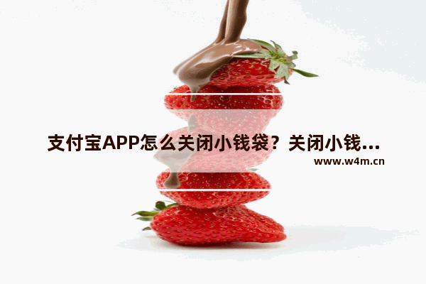 支付宝APP怎么关闭小钱袋？关闭小钱袋的方法说明