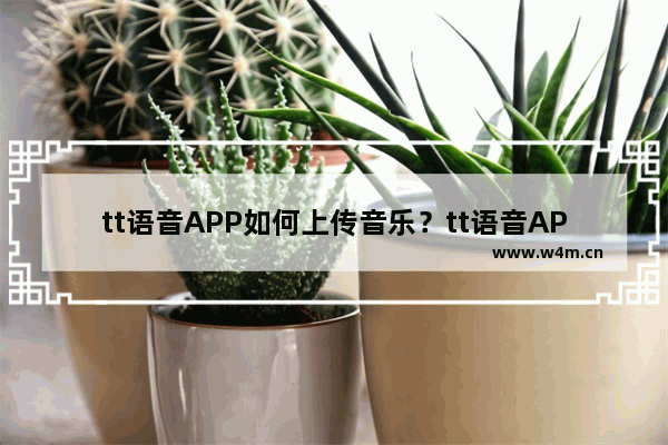 tt语音APP如何上传音乐？tt语音APP上传音乐方式一览