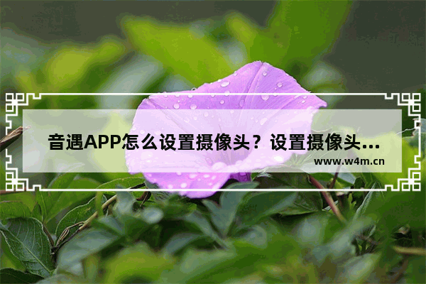 音遇APP怎么设置摄像头？设置摄像头的方法介绍