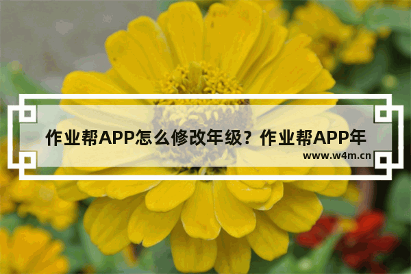 作业帮APP怎么修改年级？作业帮APP年级修改步骤一览