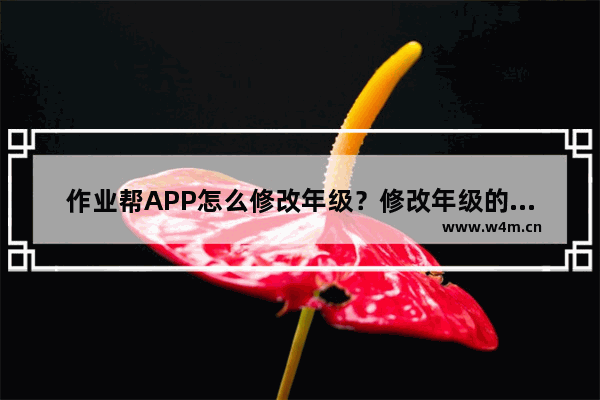 作业帮APP怎么修改年级？修改年级的操作步骤一览