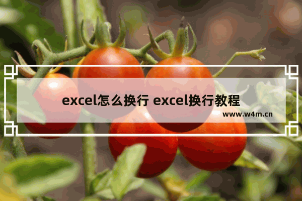 excel怎么换行 excel换行教程