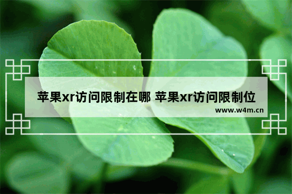 苹果xr访问限制在哪 苹果xr访问限制位置简介