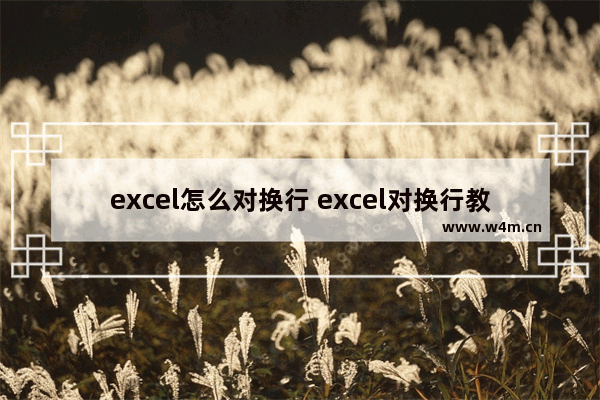 excel怎么对换行 excel对换行教程